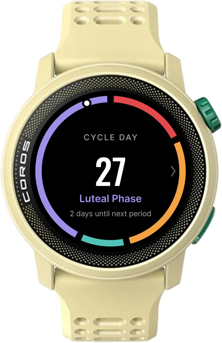 The watch face I kept: four solid arc segments with a marker for today