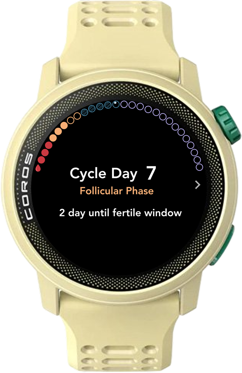 The rejected watch face: 28 same-size circles round the bezel, one per cycle day, with the fertile days hatched